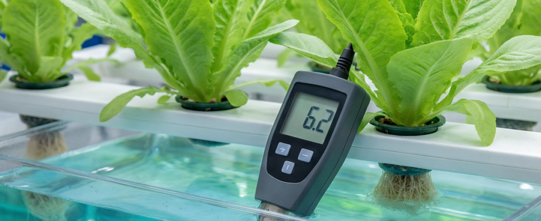 Hydroponic pH Management: A Beginner’s Guide (2026)